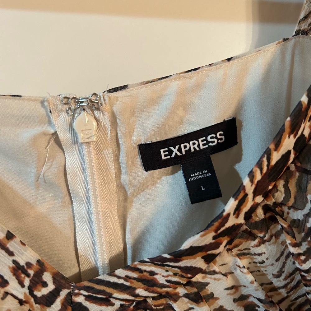 Express Dress - Picture 4 of 5